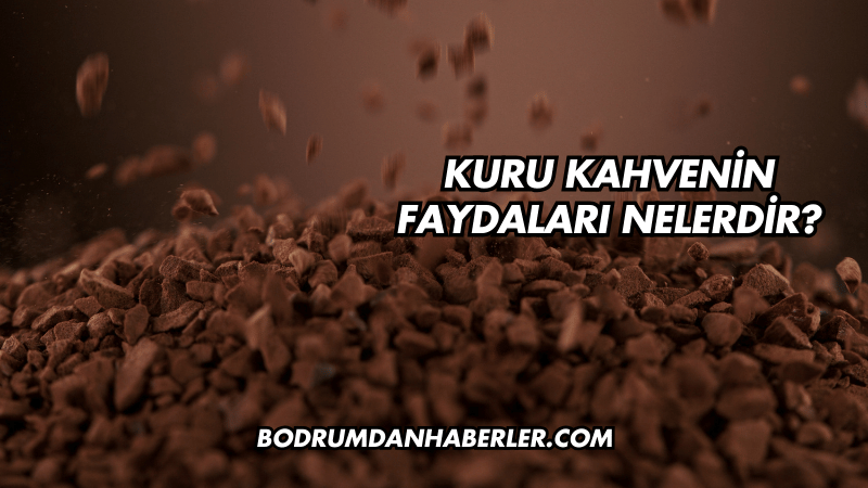 Kekreyemiş Meyvesi Ne İşe Yarar?