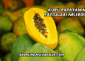 Kuru Papayanın Faydaları Nelerdir?