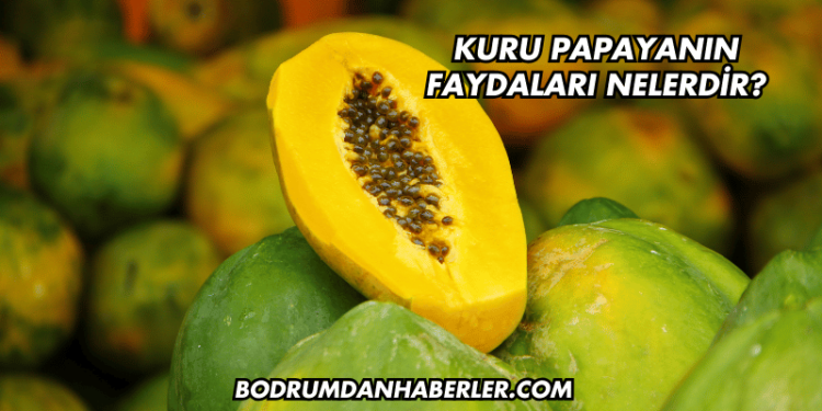 Kuru Papayanın Faydaları Nelerdir?