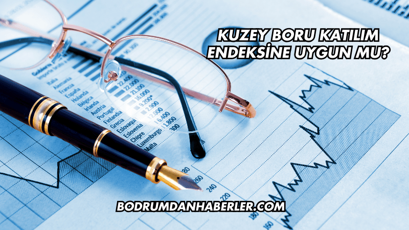 Kuzey Boru Katılım Endeksine Uygun mu?