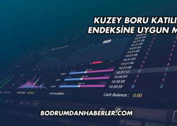 Kuzey Boru Katılım Endeksine Uygun mu?