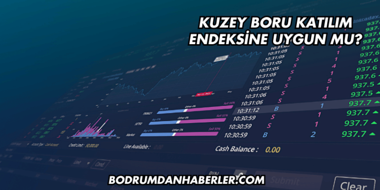 Kuzey Boru Katılım Endeksine Uygun mu?