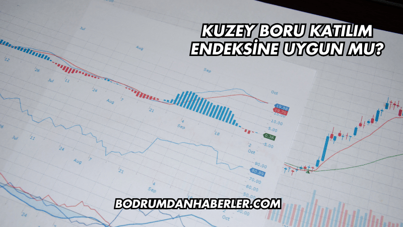 Kuzey Boru Katılım Endeksine Uygun mu?