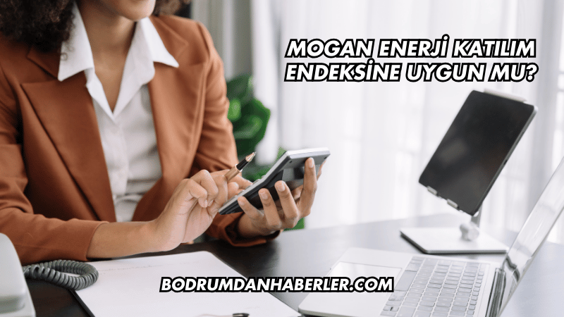 Mogan Enerji Katılım Endeksine Uygun mu?