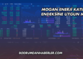 Mogan Enerji Katılım Endeksine Uygun mu?