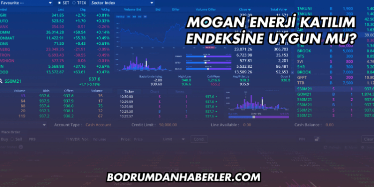 Mogan Enerji Katılım Endeksine Uygun mu?
