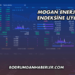 Mogan Enerji Katılım Endeksine Uygun mu?