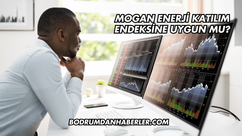 Mogan Enerji Katılım Endeksine Uygun mu?