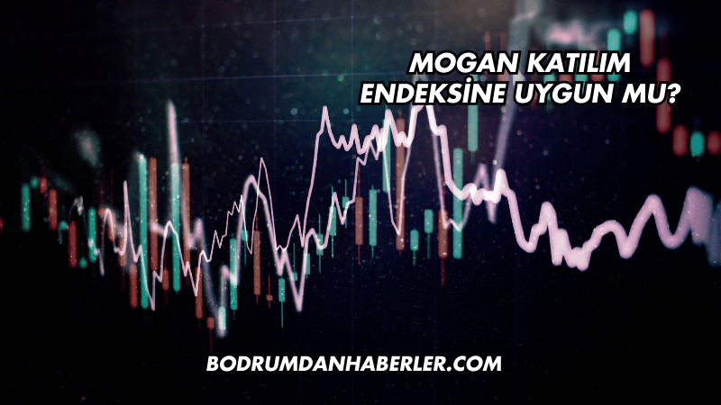 Mogan Katılım Endeksine Uygun mu?