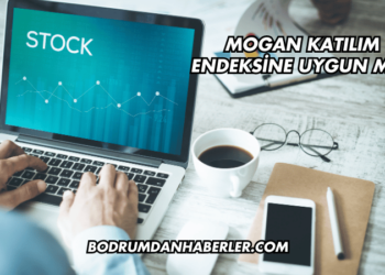 Mogan Katılım Endeksine Uygun mu?