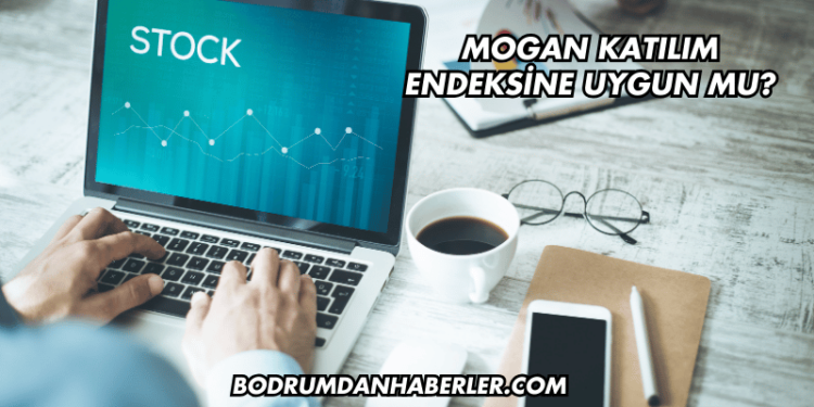 Mogan Katılım Endeksine Uygun mu?