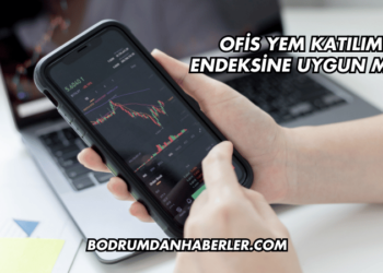 Ofis Yem Katılım Endeksine Uygun mu?