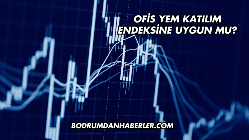 Ofis Yem Katılım Endeksine Uygun mu?