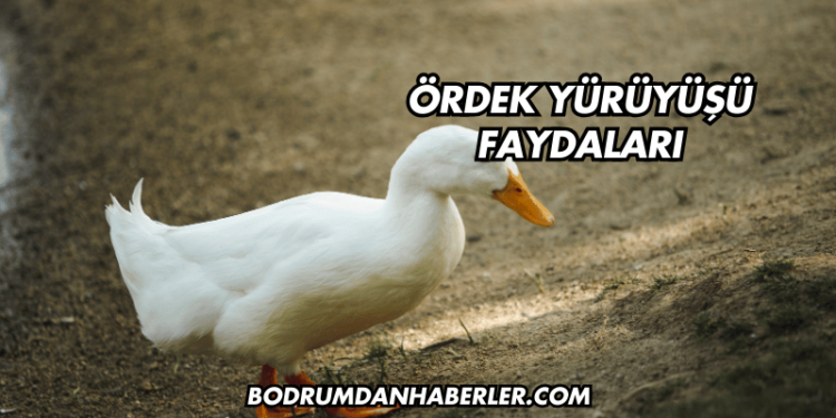 Ördek Yürüyüşü Faydaları