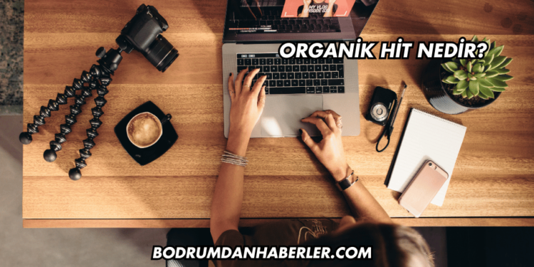 Organik Hit Nedir?