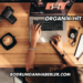 Organik Hit Nedir?