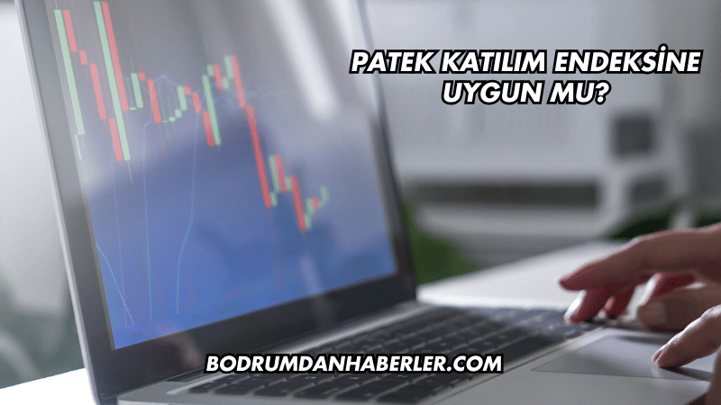 Patek Katılım Endeksine Uygun mu?