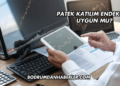 Patek Katılım Endeksine Uygun mu?