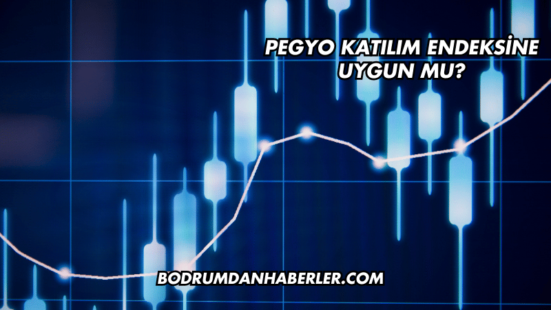 Pegyo Katılım Endeksine Uygun mu?