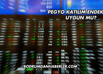 Pegyo Katılım Endeksine Uygun mu?