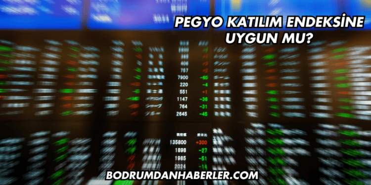 Pegyo Katılım Endeksine Uygun mu?