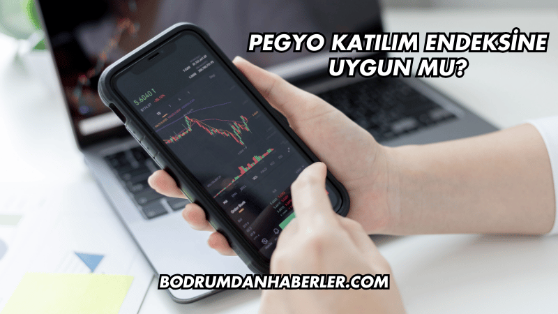 Pegyo Katılım Endeksine Uygun mu?
