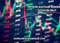 Petkim Katılım Endeksine Uygun mu?