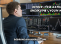 Reeder Hisse Katılım Endeksine Uygun mu?
