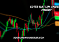 SDTTR Katılım Endeksi Nedir?