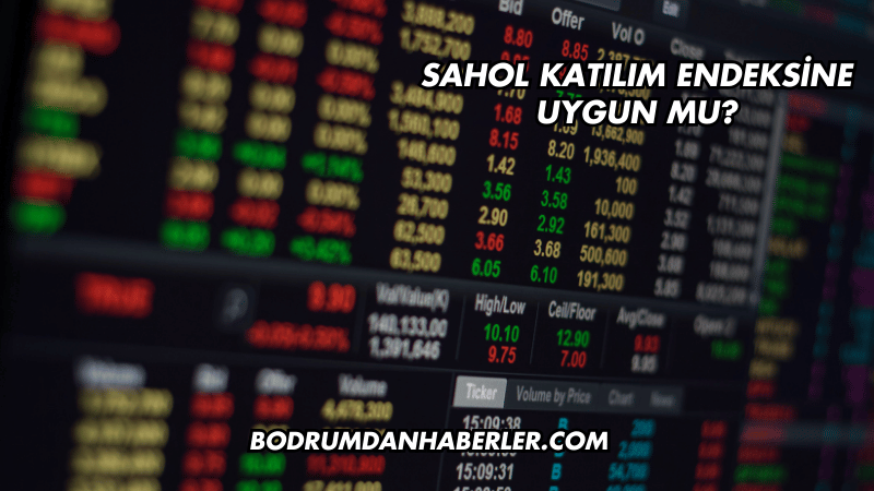 Sahol Katılım Endeksine Uygun mu?