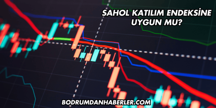 Sahol Katılım Endeksine Uygun mu?
