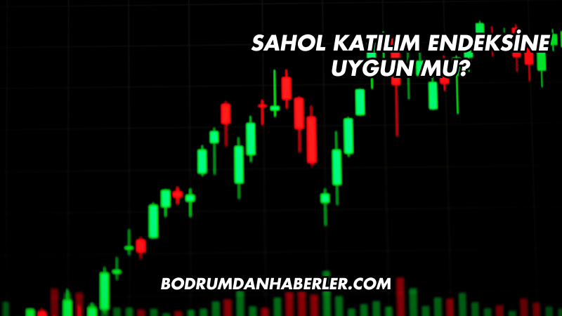 Sahol Katılım Endeksine Uygun mu?