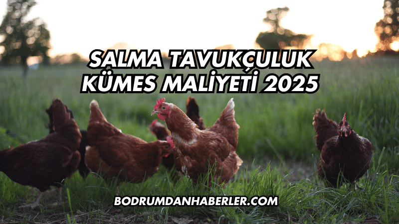 Salma Tavukçuluk Kümes Maliyeti 2025