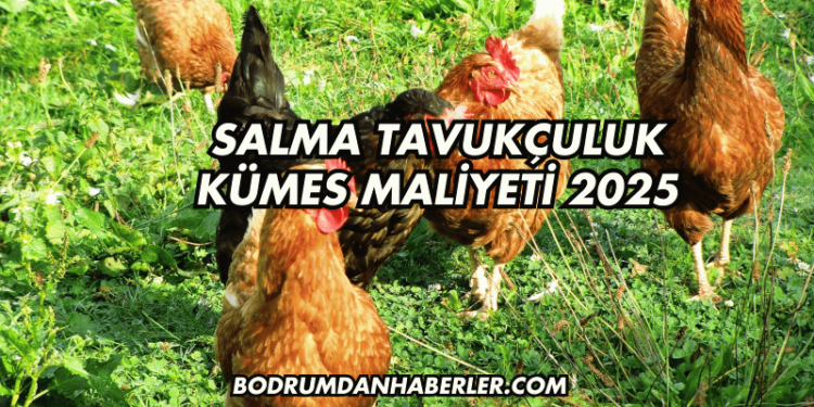 Salma Tavukçuluk Kümes Maliyeti 2025