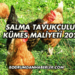 Salma Tavukçuluk Kümes Maliyeti 2025