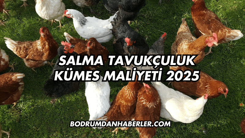 Salma Tavukçuluk Kümes Maliyeti 2025