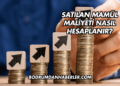 Satılan Mamül Maliyeti Nasıl Hesaplanır?