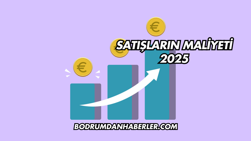 Satışların Maliyeti 2025