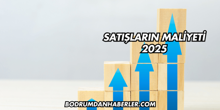 Satışların Maliyeti 2025