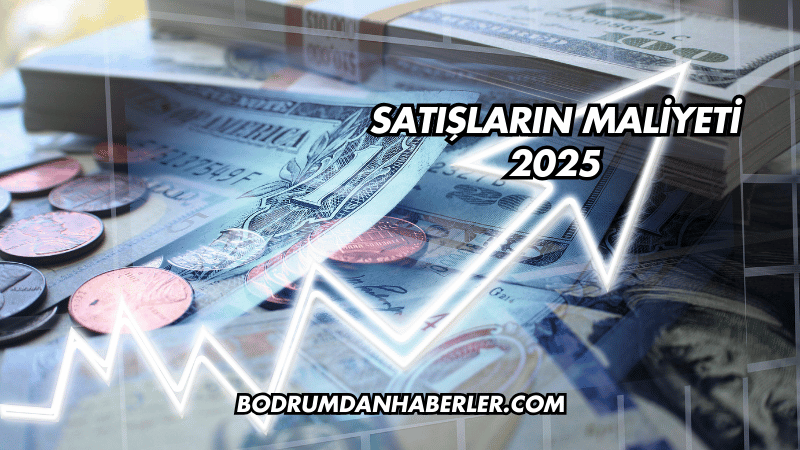 Satışların Maliyeti 2025