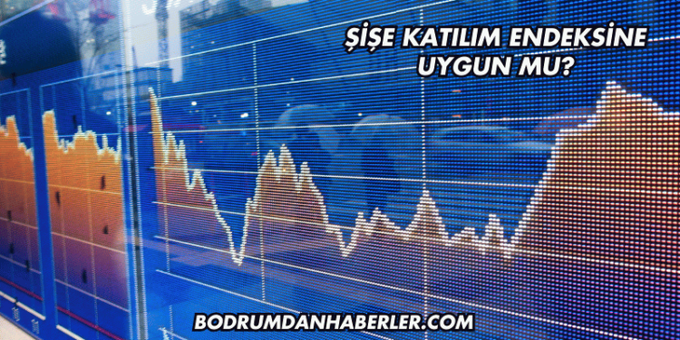 Şişe Katılım Endeksine Uygun mu?