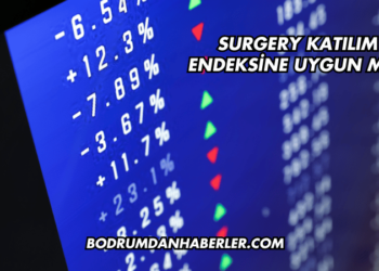 Surgery Katılım Endeksine Uygun mu?
