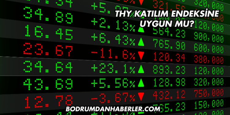 THY Katılım Endeksine Uygun mu?