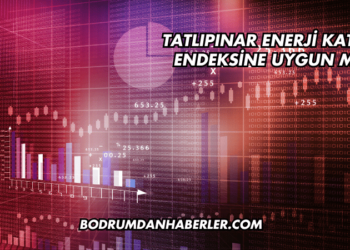 Tatlıpınar Enerji Katılım Endeksine Uygun mu?