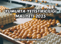 Yumurta Yetiştiriciliği Maliyeti 2025