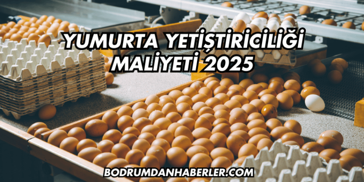 Yumurta Yetiştiriciliği Maliyeti 2025