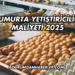 Yumurta Yetiştiriciliği Maliyeti 2025