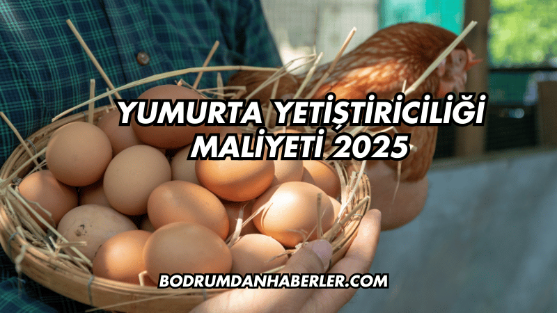 Yumurta Yetiştiriciliği Maliyeti 2025