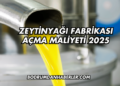 Zeytinyağı Fabrikası Açma Maliyeti 2025