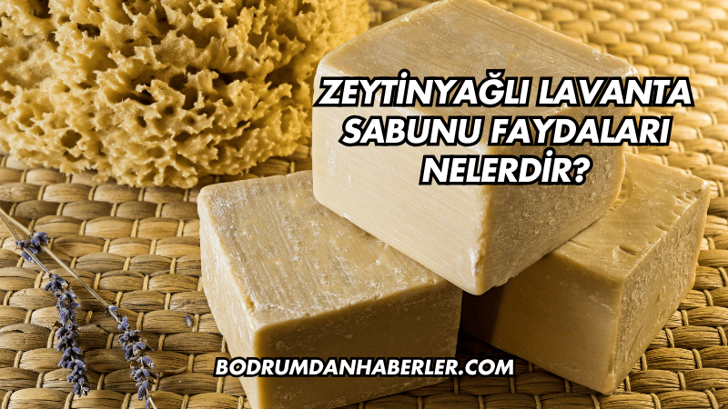 Zeytinyağlı Lavanta Sabunu Faydaları Nelerdir?